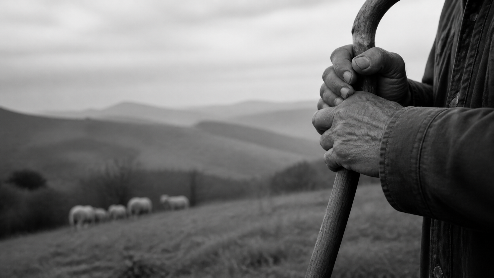 A shepherd’s hands holding a staff beside a flock